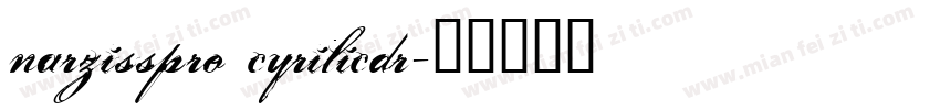 narzisspro cyrilicdr字体转换